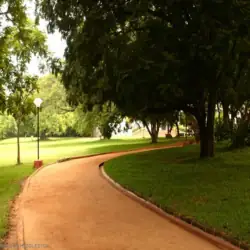 → Jogging Track